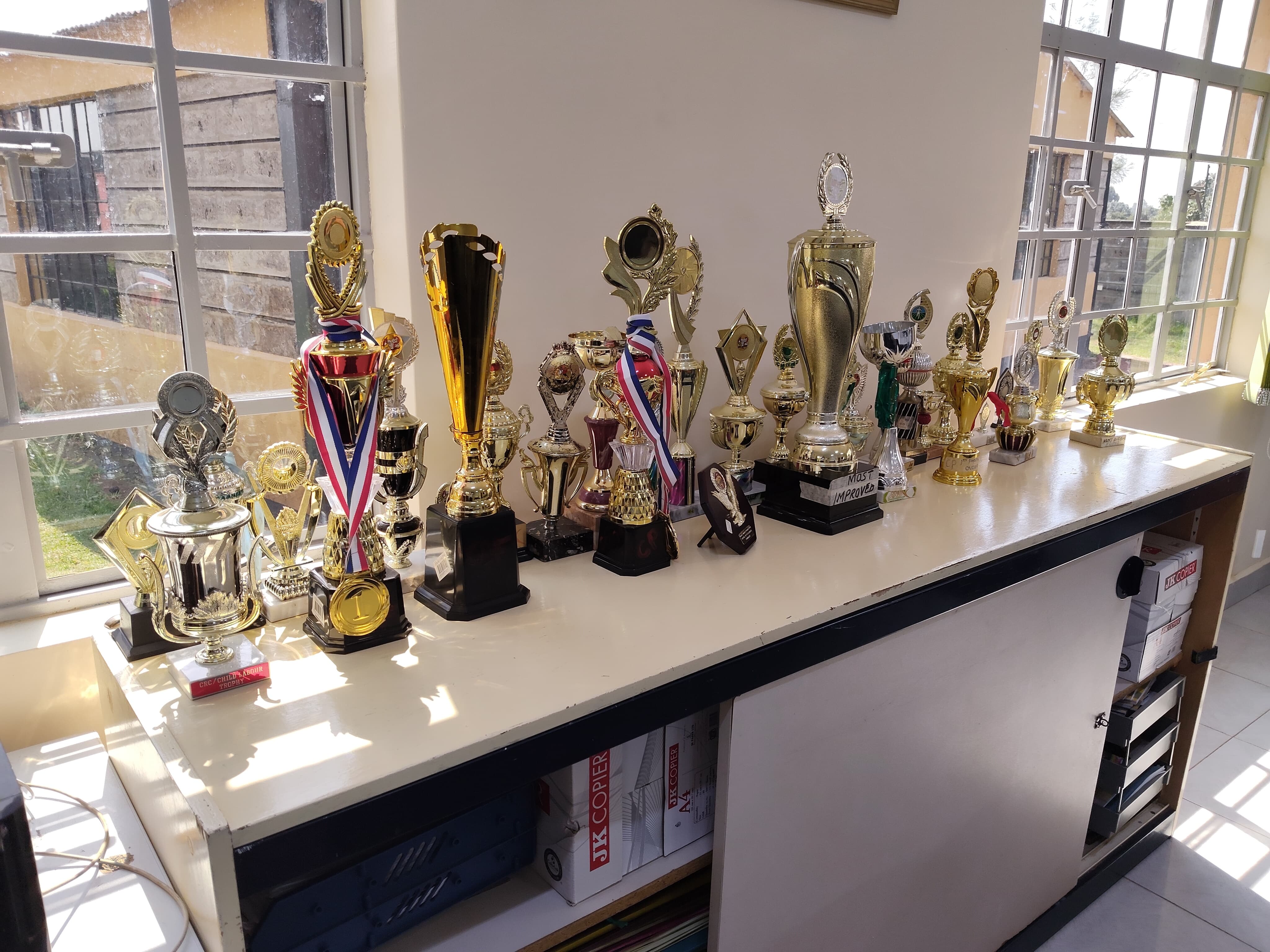 National Sports and Music Participation at Dagoretti Special School